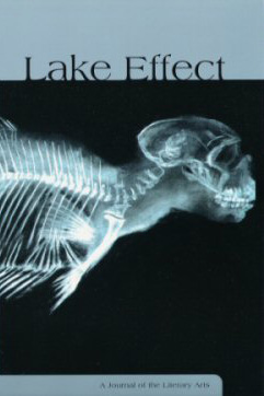 Lake Effect, Srinf 2005, Volume 9, Front Cover Photo