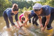 Biology students look for hellbender salamanders in French Creek.