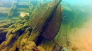 An underwater image of a Lake Erie shipwreck.